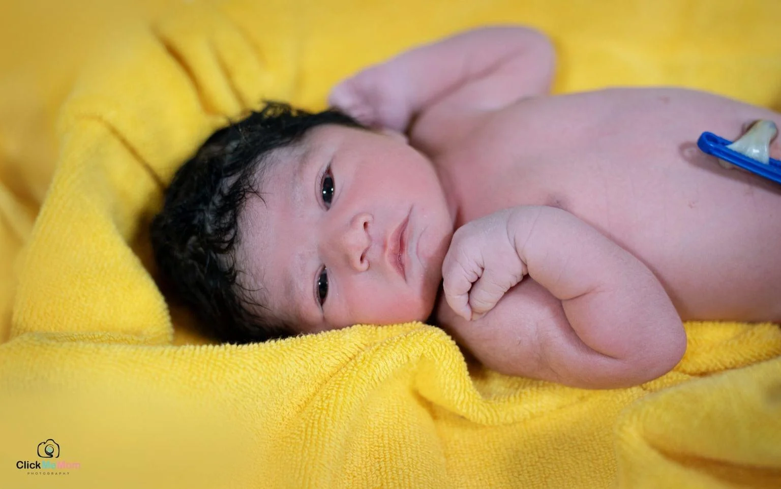 Maternity