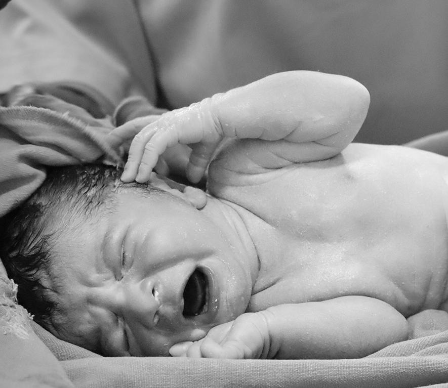 Maternity Image