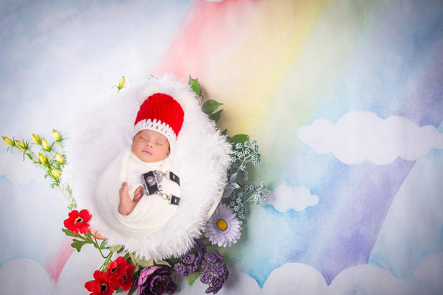 Maternity Image